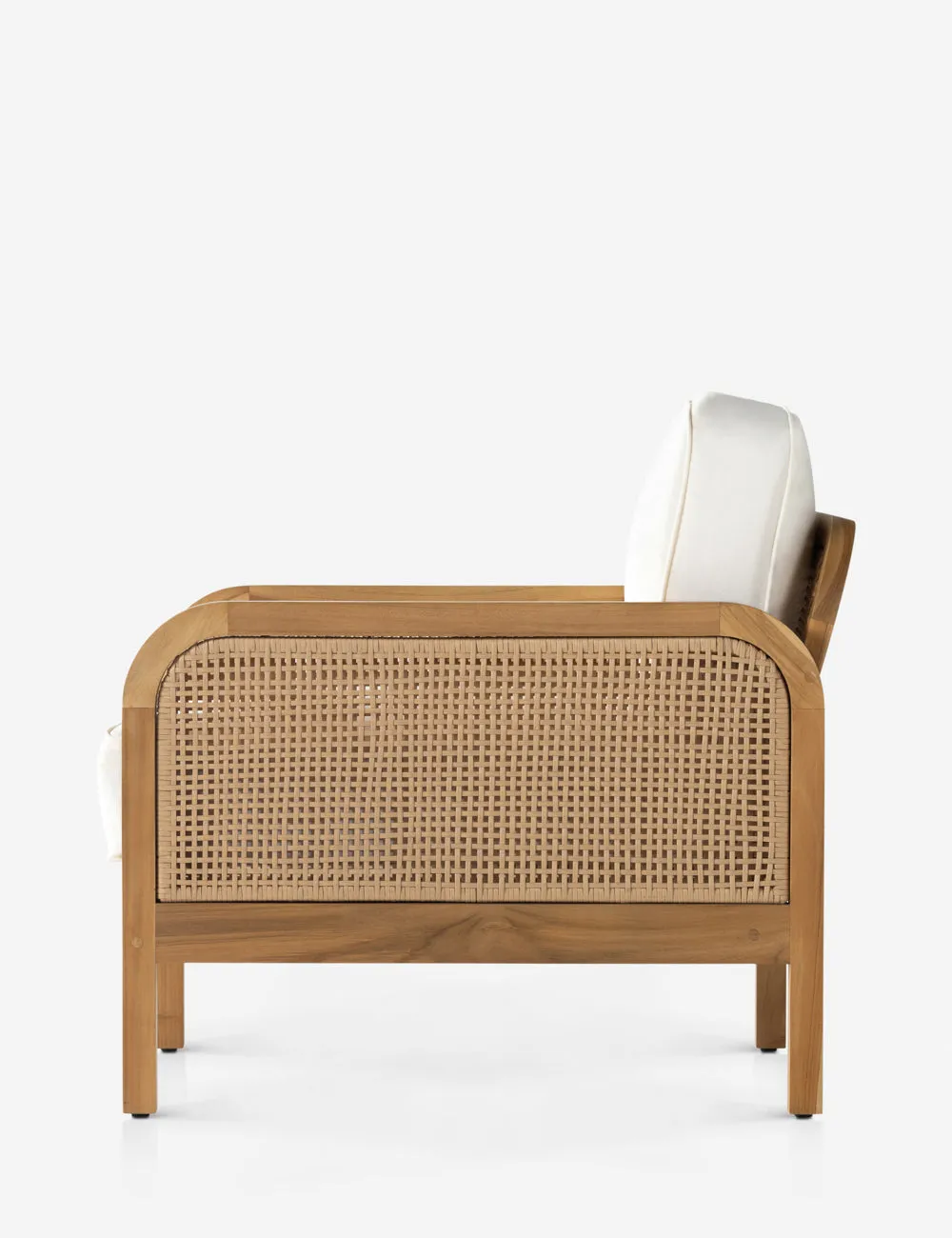 Anson Indoor / Outdoor Accent Chair