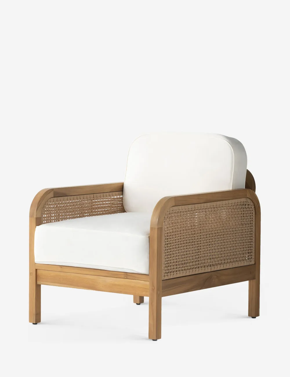 Anson Indoor / Outdoor Accent Chair