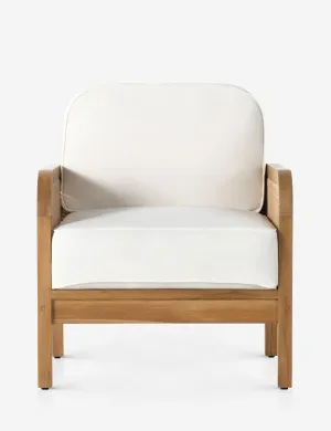 Anson Indoor / Outdoor Accent Chair