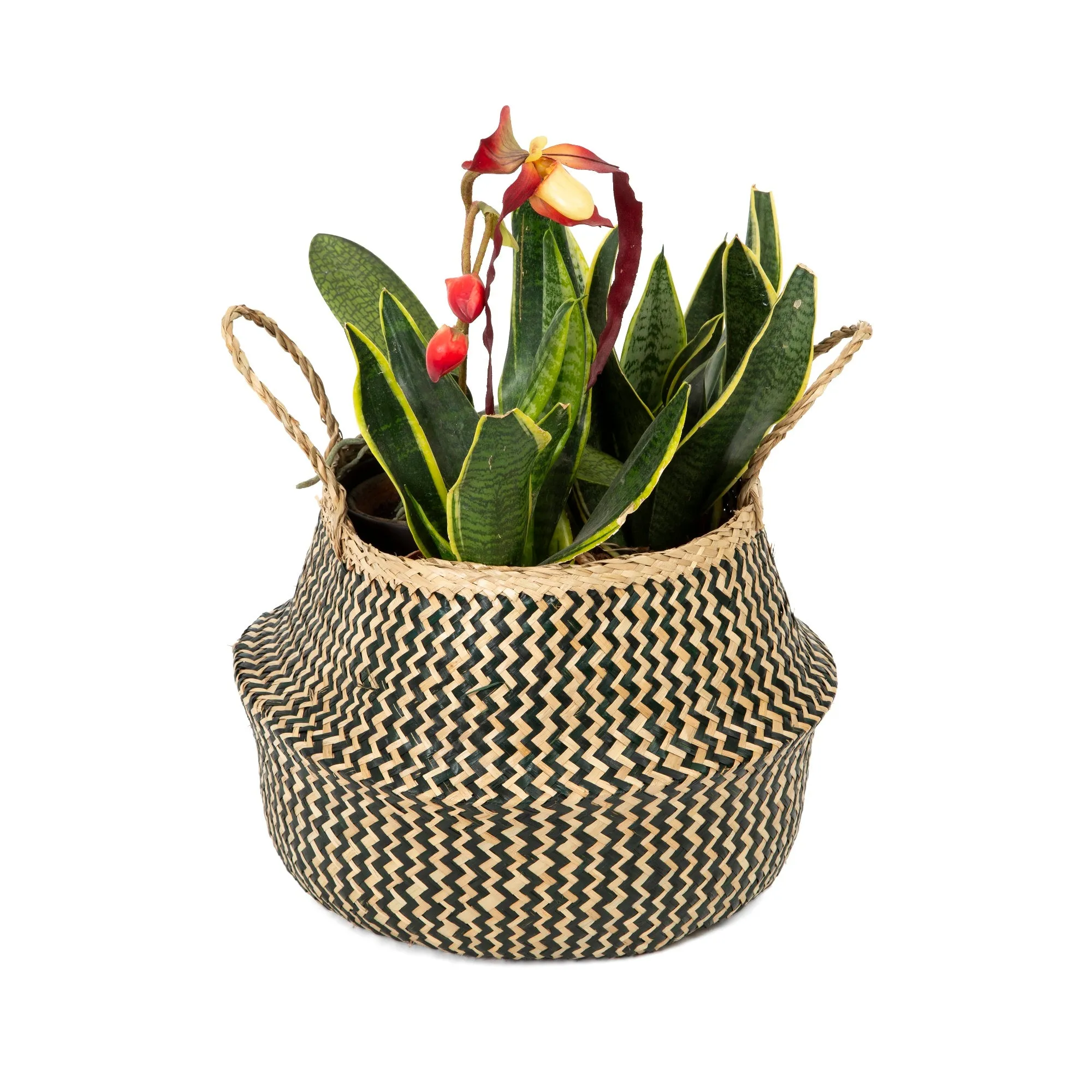 Belly Foldable Basket -Seagrass -Various Sizes