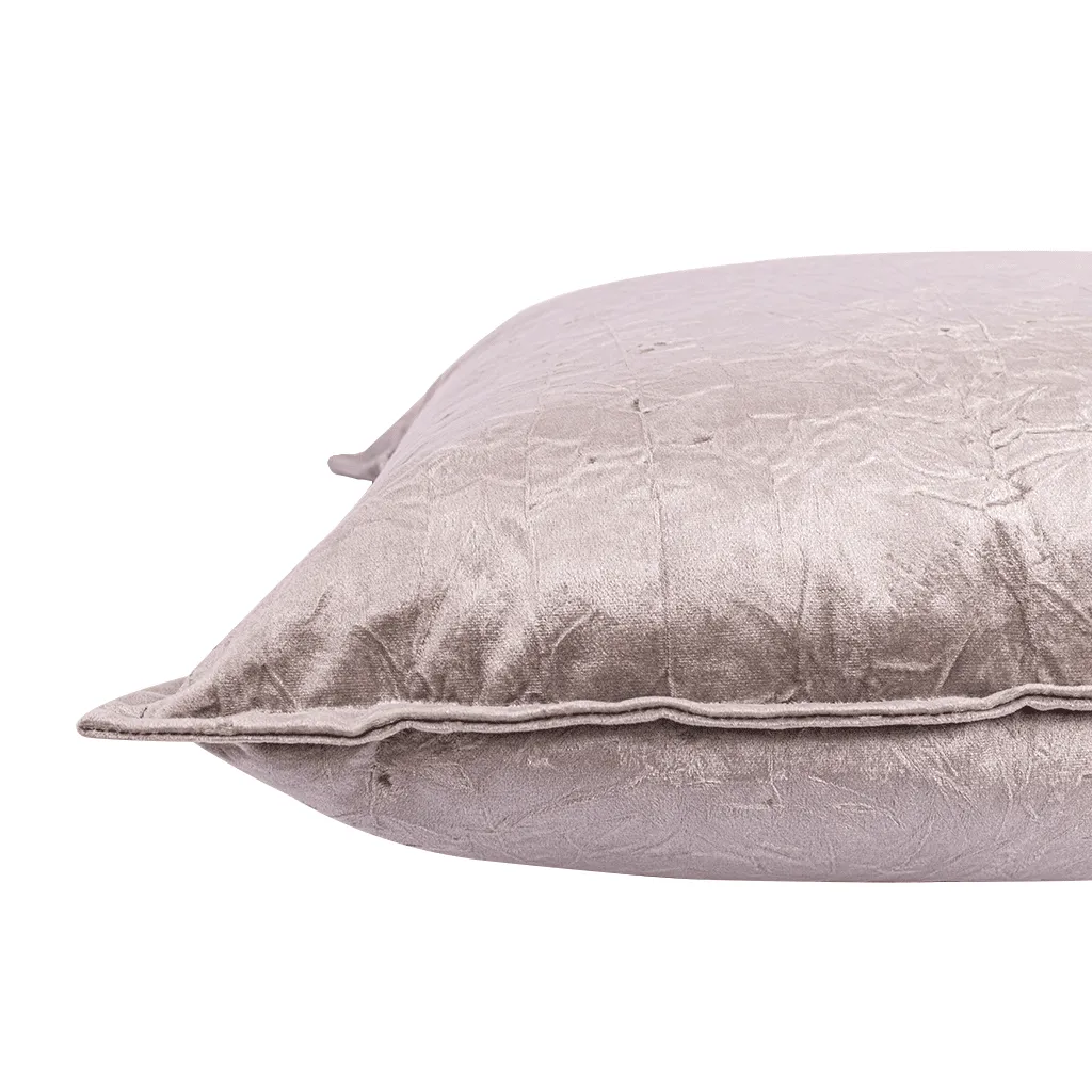 Bewitched Feather Grey Cushion