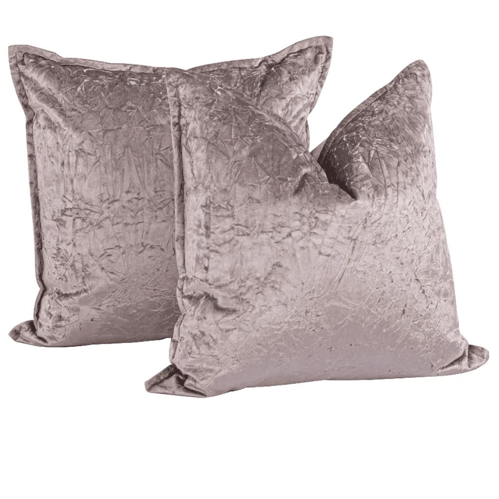 Bewitched Feather Grey Cushion